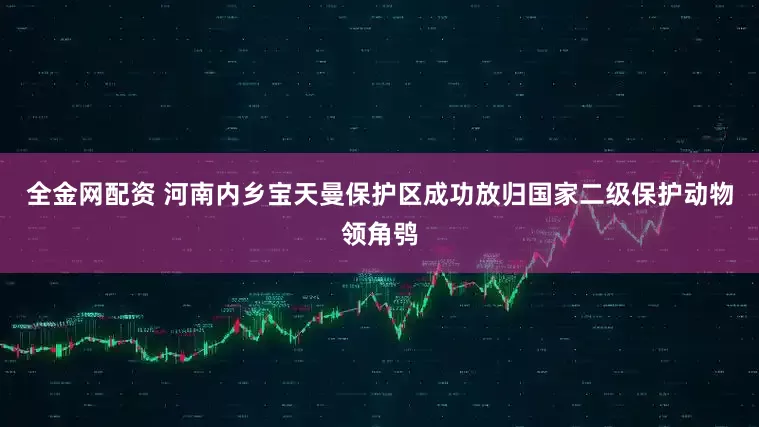 全金网配资 河南内乡宝天曼保护区成功放归国家二级保护动物领角鸮