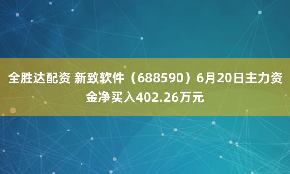 全胜达配资 新致软件（688590）6月20日主力资金净买入402.26万元