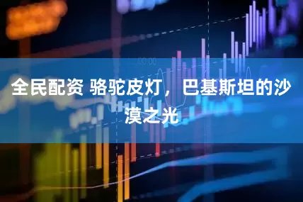 全民配资 骆驼皮灯，巴基斯坦的沙漠之光