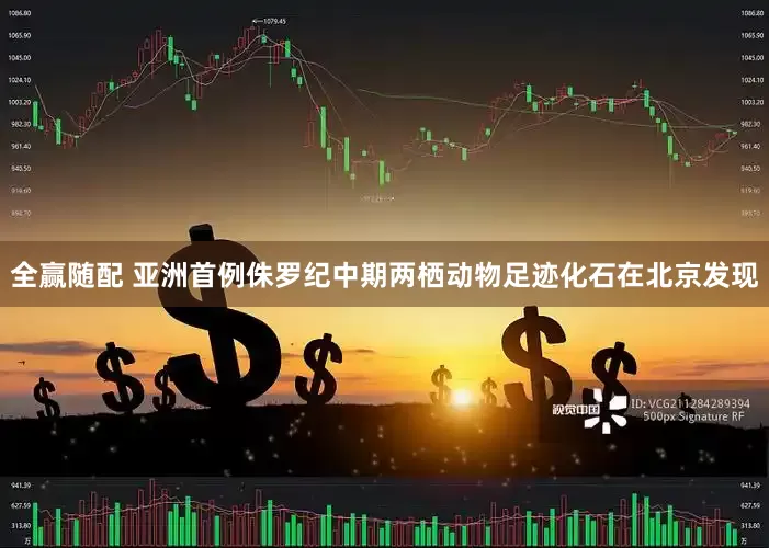 全赢随配 亚洲首例侏罗纪中期两栖动物足迹化石在北京发现